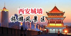 大吊日骚逼中国陕西-西安城墙旅游风景区