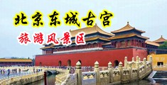 91美女操鸡吧中国北京-东城古宫旅游风景区